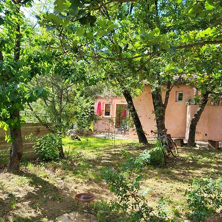 Studios Et Gite La Sauvasse Vagnas Екстериор снимка